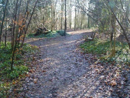 Image on trail